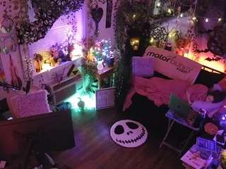 voyeurcam veccasalt 01